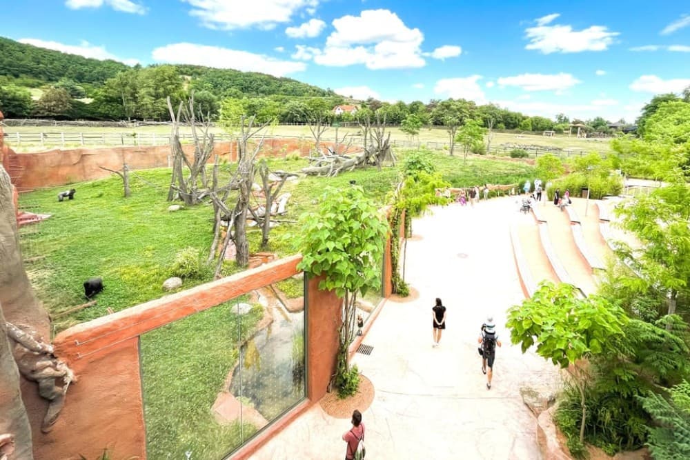 Prague Zoo Online Audio Guide No ticket | ®ExcursionMania - Image 3