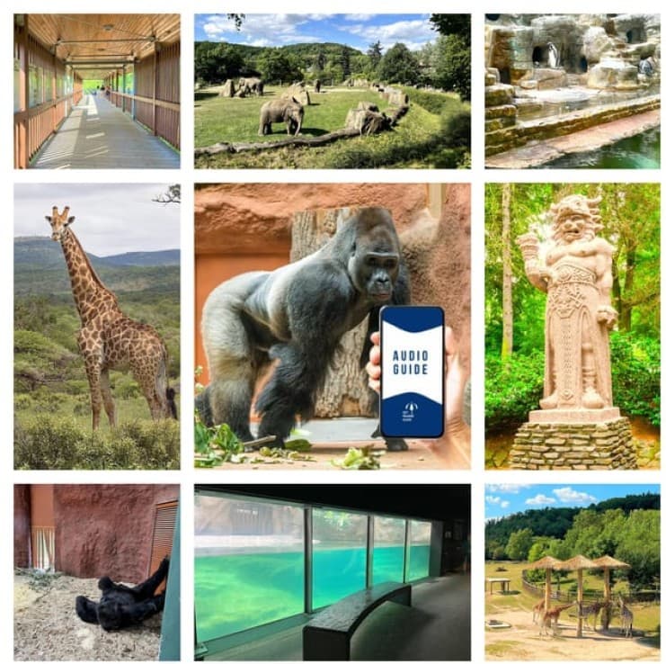 Prague Zoo Online Audio Guide No ticket | ®ExcursionMania - Image 1