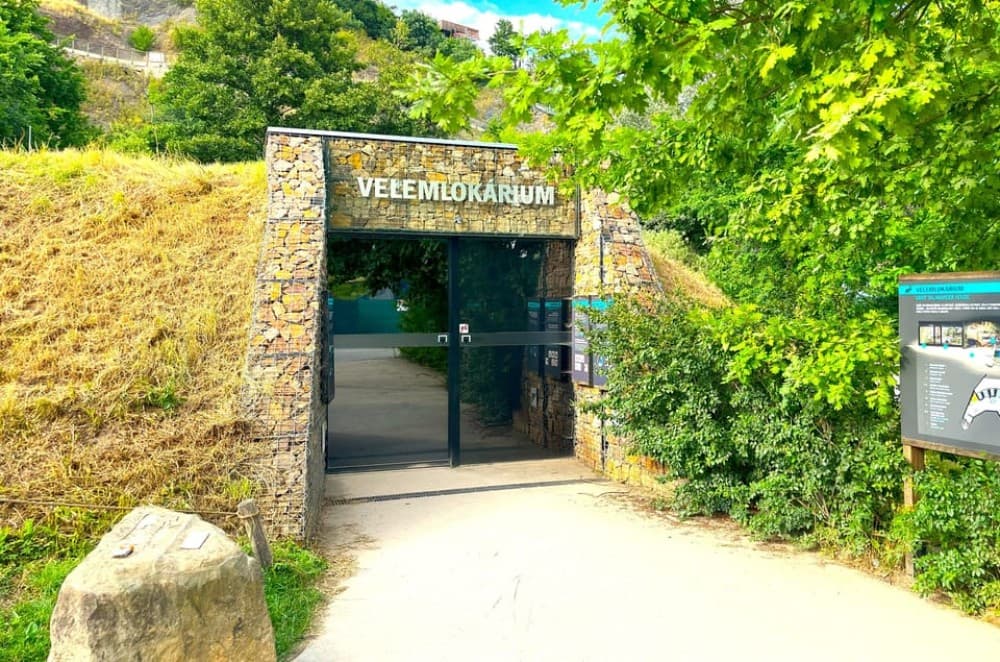 Prague Zoo Online Audio Guide No ticket | ®ExcursionMania - Image 5