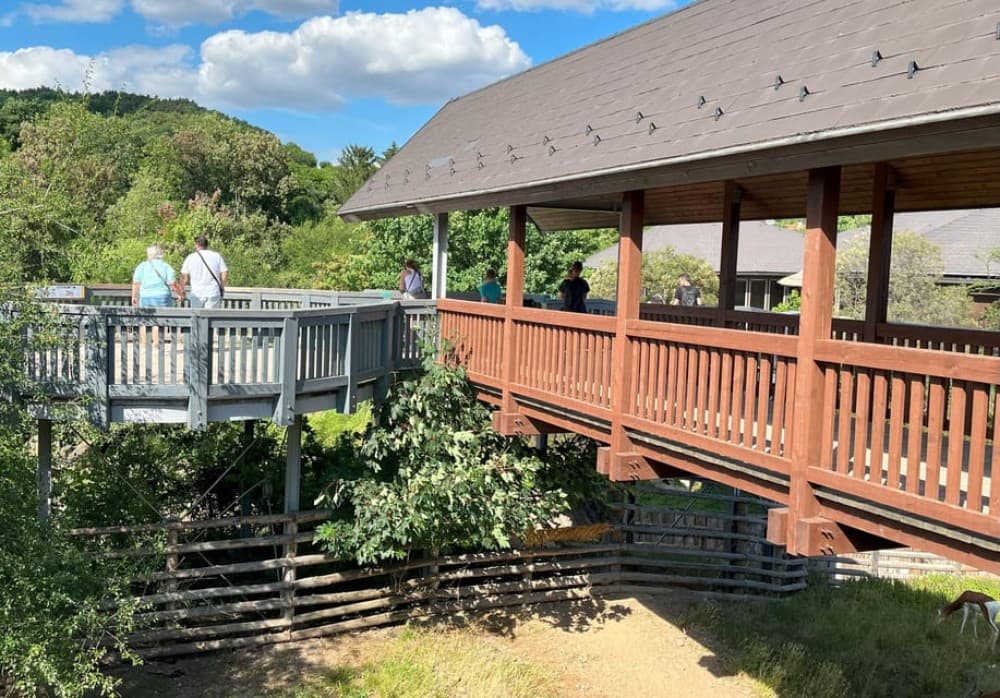 Prague Zoo Online Audio Guide No ticket | ®ExcursionMania - Image 6