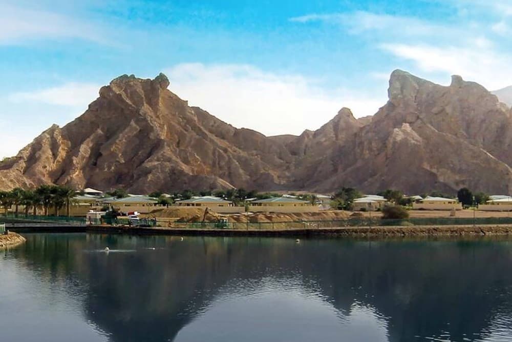 Hidden Gems of Oasis City | ®ExcursionMania - Image 7