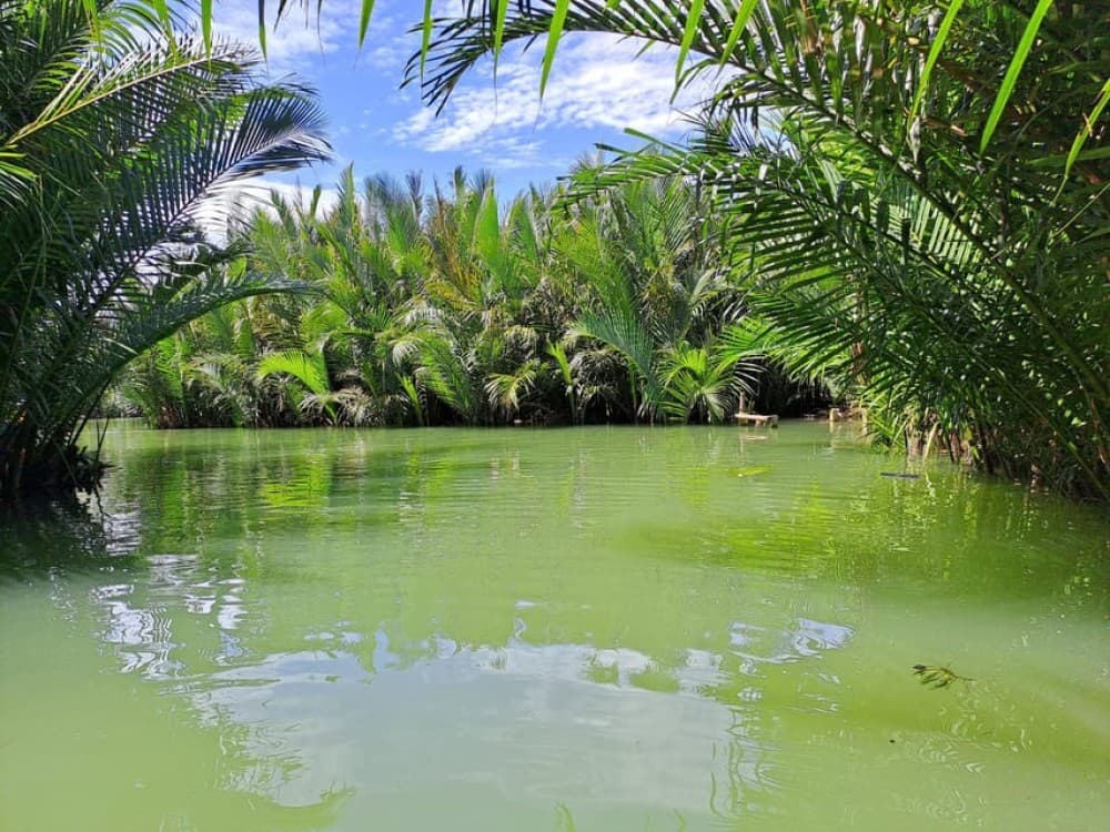 Hoi An Countryside - Buffalo Riding - Basket Boat Rowing | ®ExcursionMania - Image 5