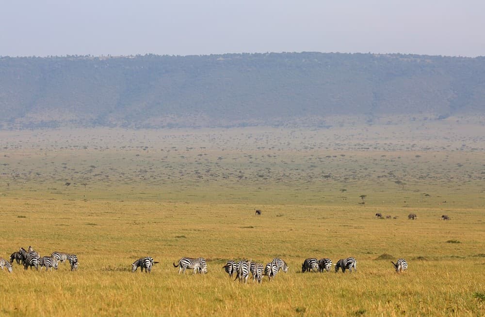 3 Days 2 Nights Masai Mara Joining Safari From Nairobi | ®ExcursionMania - Image 5