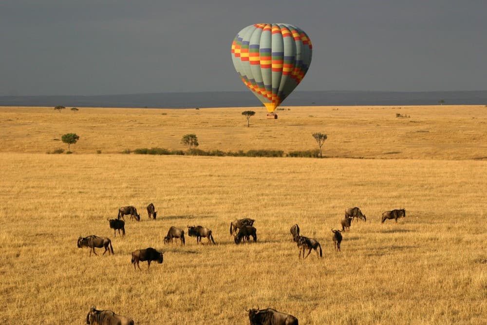 3 Days 2 Nights Masai Mara Joining Safari From Nairobi | ®ExcursionMania - Image 4