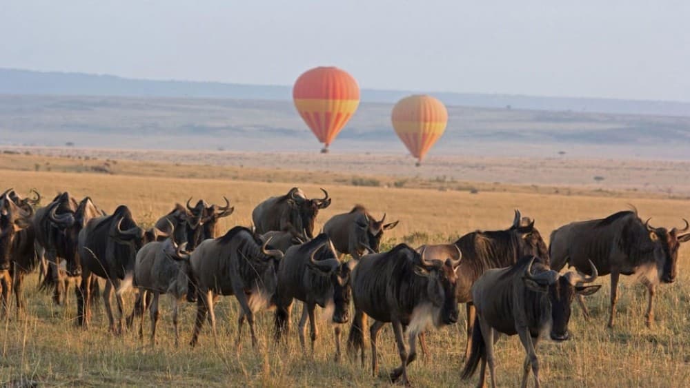 3 Days Masai Mara Camping | ®ExcursionMania - Image 1