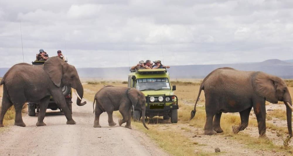 3 Days Masai Mara Camping | ®ExcursionMania - Image 6