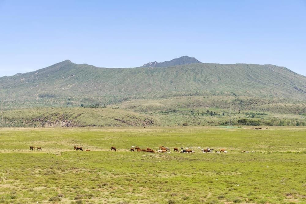 From Nairobi: Mt Longonot Hiking Day Tour | ®ExcursionMania - Image 8