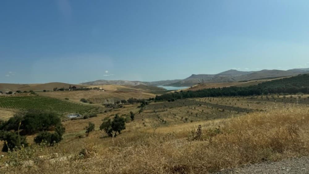 From Fez: Meknes, Volubilis and Moulay Idriss Day Trip | ®ExcursionMania - Image 12