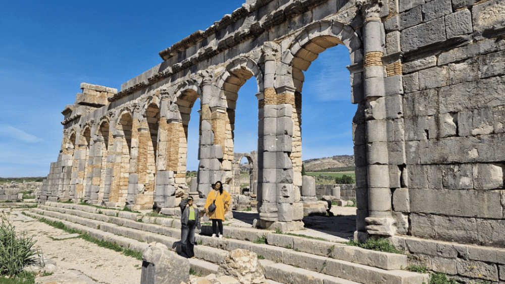 From Fes: Meknes Volubilis and Moulay Idriss Day Trip | ®ExcursionMania - Image 7