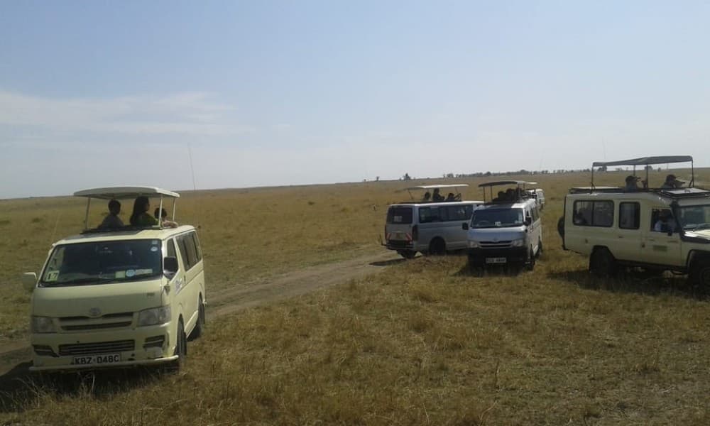 5 Days Amboseli, Lake Nakuru and Masai Mara Safari | ®ExcursionMania - Image 2