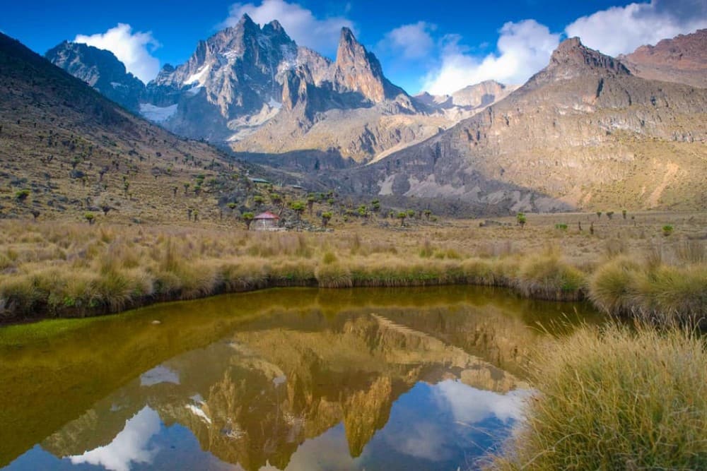 Mt Kenya: Full-day hiking tour from Nairobi | ®ExcursionMania - Image 7