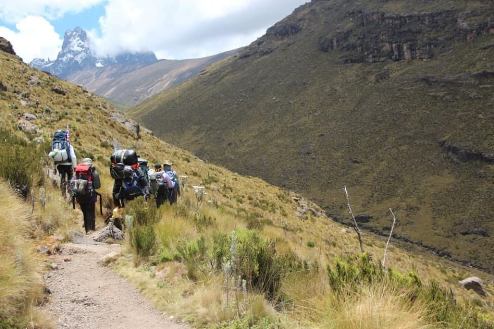 Mt Kenya: Full-day hiking tour from Nairobi | ®ExcursionMania - Image 8