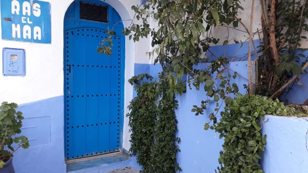 From Fes:2-Day Transfers to Chefchaouen & back to Fez/Tanger | ®ExcursionMania - Image 3