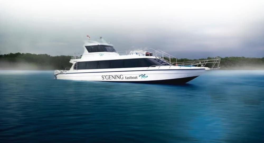 Bali: One Way Fast Boat to Nusa Penida from Sanur | ®ExcursionMania - Image 3