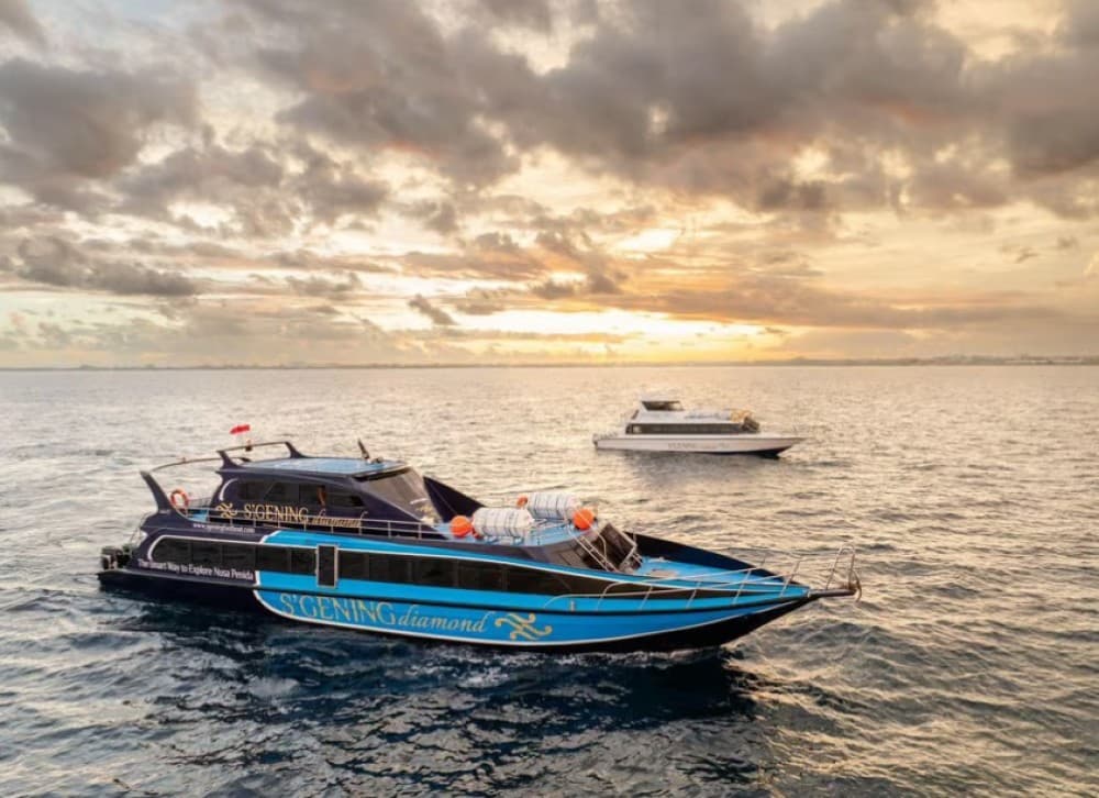 Bali: One Way Fast Boat to Nusa Penida from Sanur | ®ExcursionMania - Image 2
