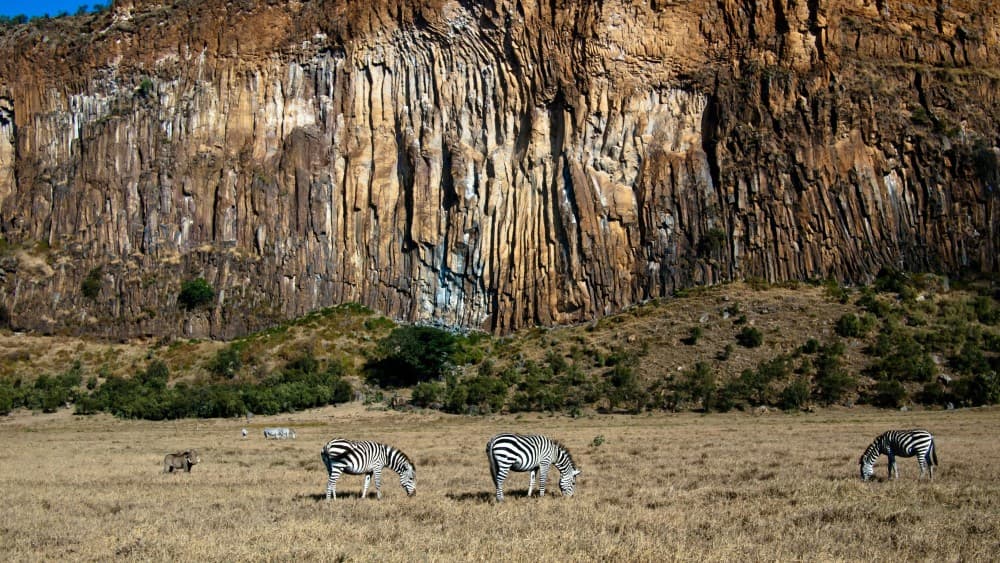 Day Trip to Hells Gate & Optional Boat Ride at Lake Naivasha | ®ExcursionMania - Image 4