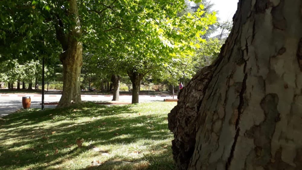 Fes to Middle Atlas Mounains Berber Villages Caves Day Trip | ®ExcursionMania - Image 2