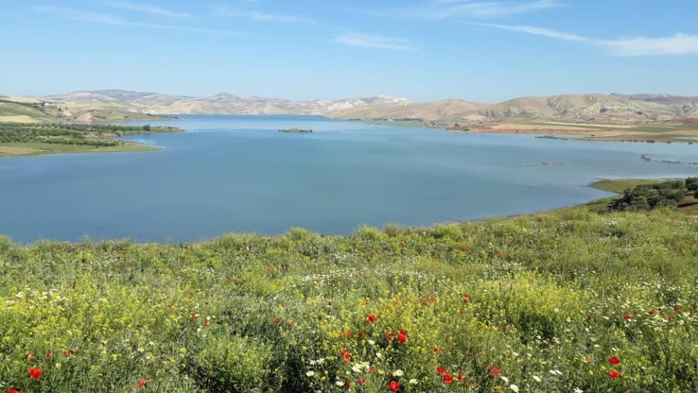 From Meknes: Day Trip to Chefchaouen | ®ExcursionMania - Image 11