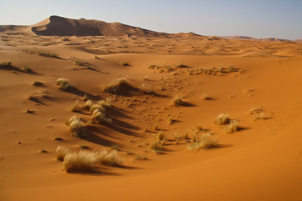 2-Day, 1-Night Desert Trip to Merzouga from Ouarzazate | ®ExcursionMania - Image 1