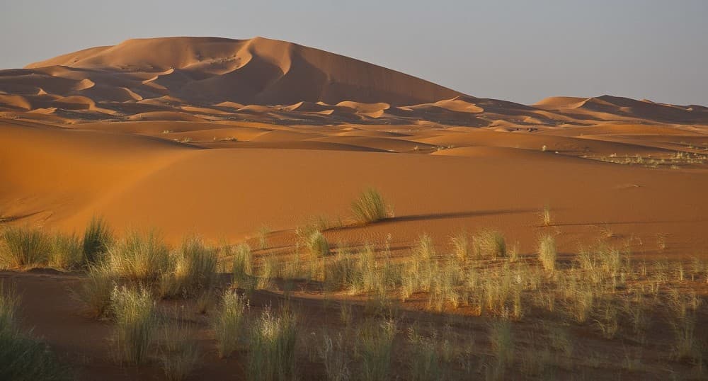 2-Day, 1-Night Desert Trip to Merzouga from Ouarzazate | ®ExcursionMania - Image 8