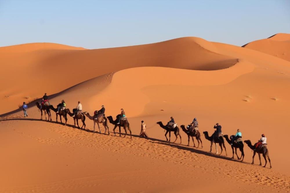 From Fes: 3-Day, 2-Night Desert Trip to Merzouga | ®ExcursionMania - Image 1