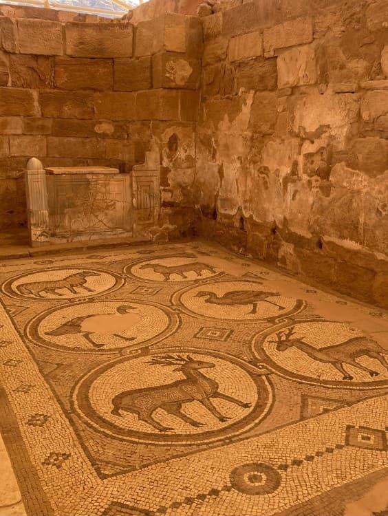 From Amman: Private full day Petra and Wadi rum | ®ExcursionMania - Image 6