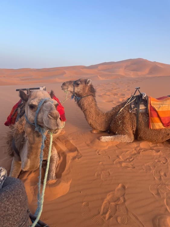 3-Days Tour from Errachidia Airport to Merzouga Erg Chebbi | ®ExcursionMania - Image 5