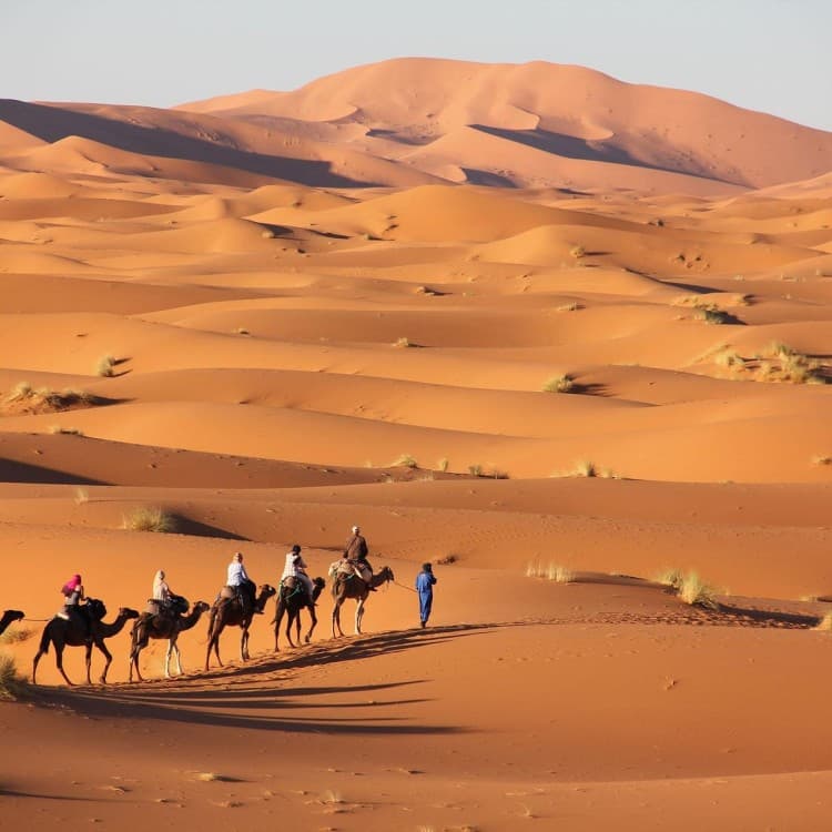 3-Days Tour from Errachidia Airport to Merzouga Erg Chebbi | ®ExcursionMania - Image 6
