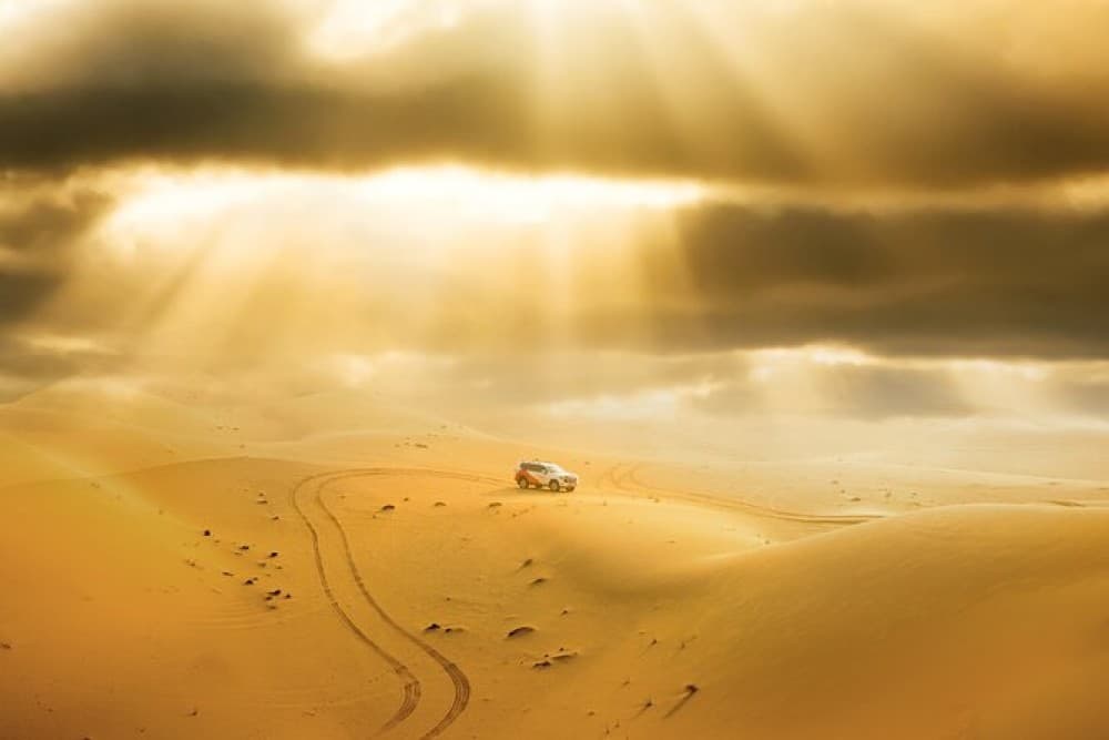 Half-Day Desert Safari from Abu Dhabi | ®ExcursionMania - Image 4