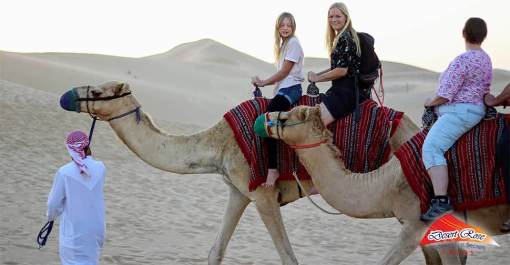 Half-Day Desert Safari from Abu Dhabi | ®ExcursionMania - Image 6