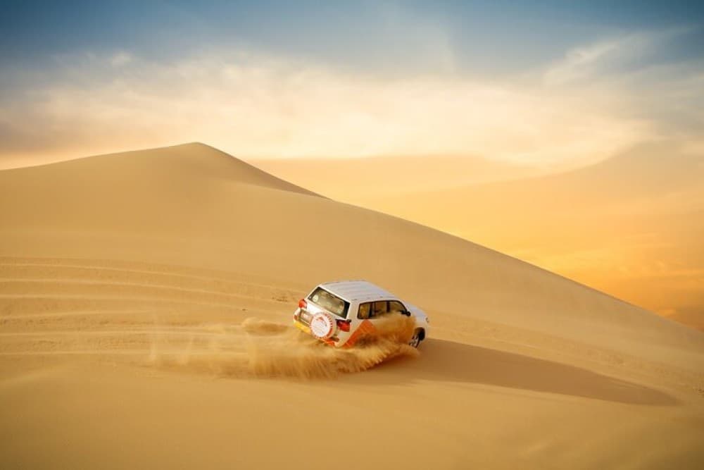 Morning Desert Safari From Abu Dhabi | ®ExcursionMania - Image 8