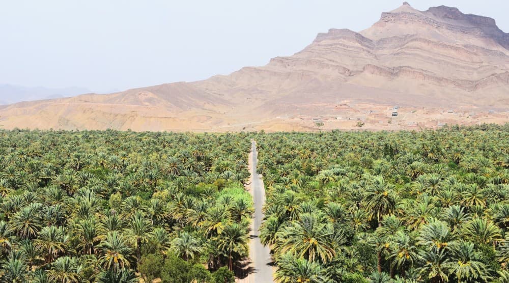 From Ouarzazate: 3 Days tour though Merzouga & Dades | ®ExcursionMania - Image 5