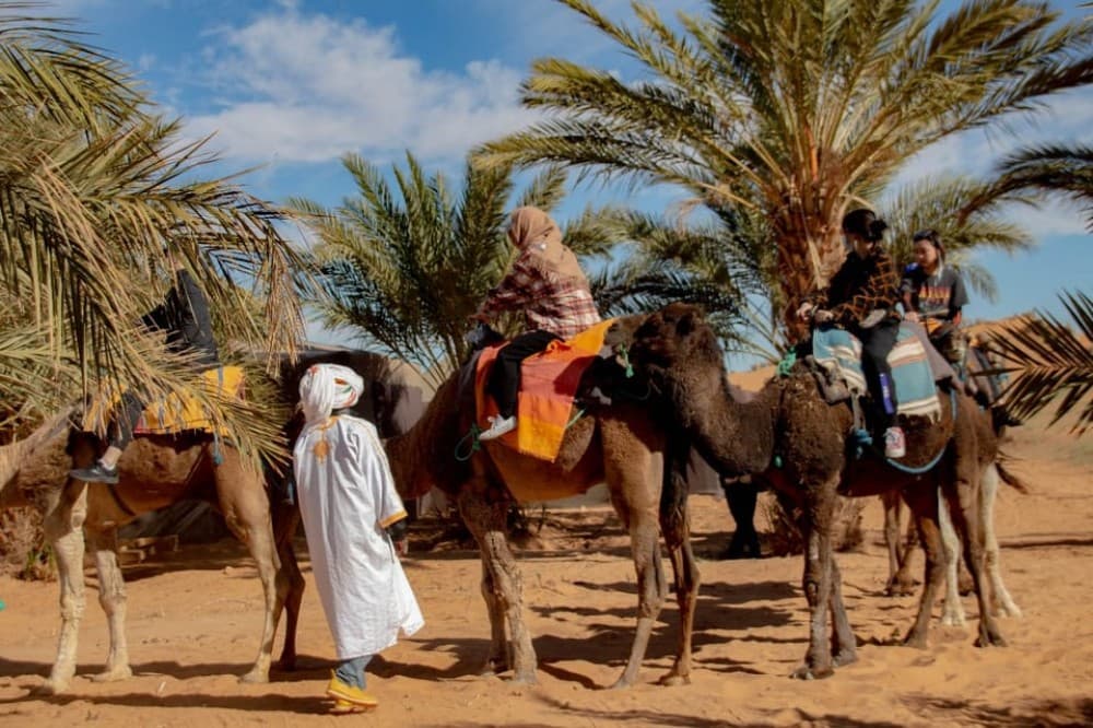 From Marrakech:4 Days 3 Nights Desert Tour back to Marrakech | ®ExcursionMania - Image 6