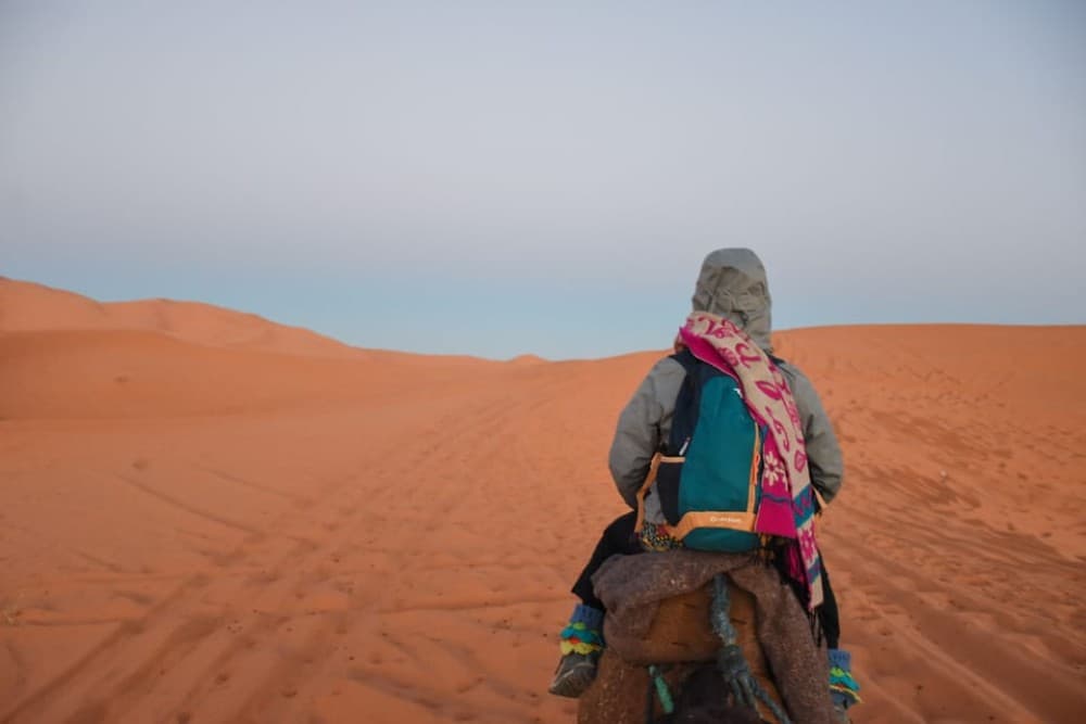 From Marrakech:4 Days 3 Nights Desert Tour back to Marrakech | ®ExcursionMania - Image 7