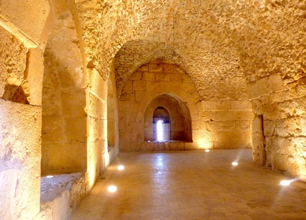 From Amman: Private Day Tour to Jerash and Ajloun | ®ExcursionMania - Image 11