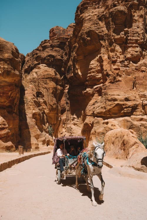 From Amman : Private Full day tour to Petra | ®ExcursionMania - Image 8