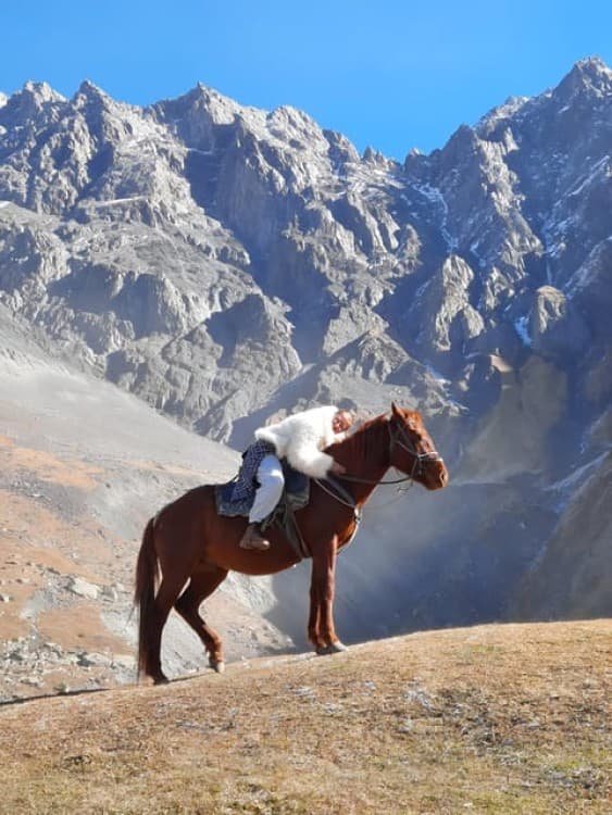 Horse Riding Tour in Kazbegi | ®ExcursionMania - Image 1