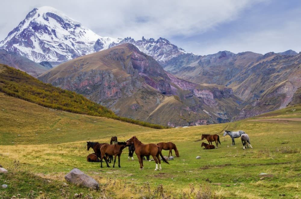Horse Riding Tour in Kazbegi | ®ExcursionMania - Image 6