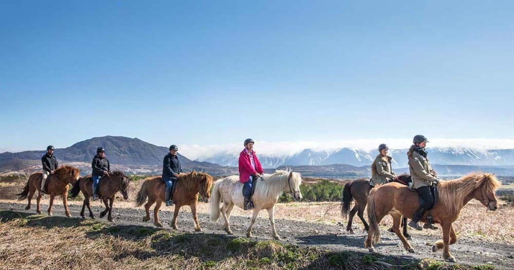 Horse Riding Tour in Kazbegi | ®ExcursionMania - Image 7