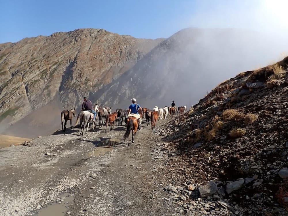 Vashlovani Nature Reserve: Horse Riding Tour | ®ExcursionMania - Image 6