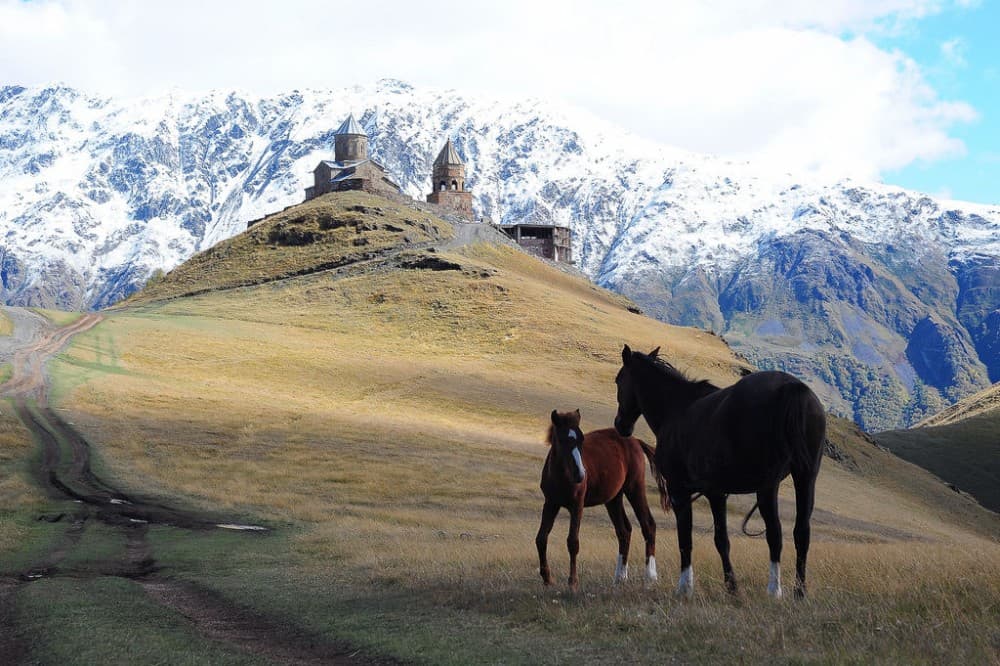 Ride A Horse To Gergeti Trinity Church And Summit A Mountain | ®ExcursionMania - Image 6