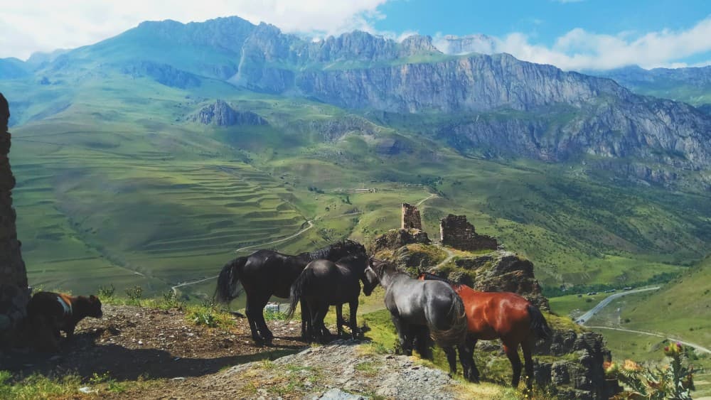 Ride A Horse To Gergeti Trinity Church And Summit A Mountain | ®ExcursionMania - Image 9