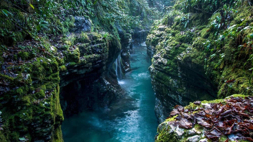 From Tbilisi: Kutaisi Canyons and Caves Full Day Tour | ®ExcursionMania - Image 8