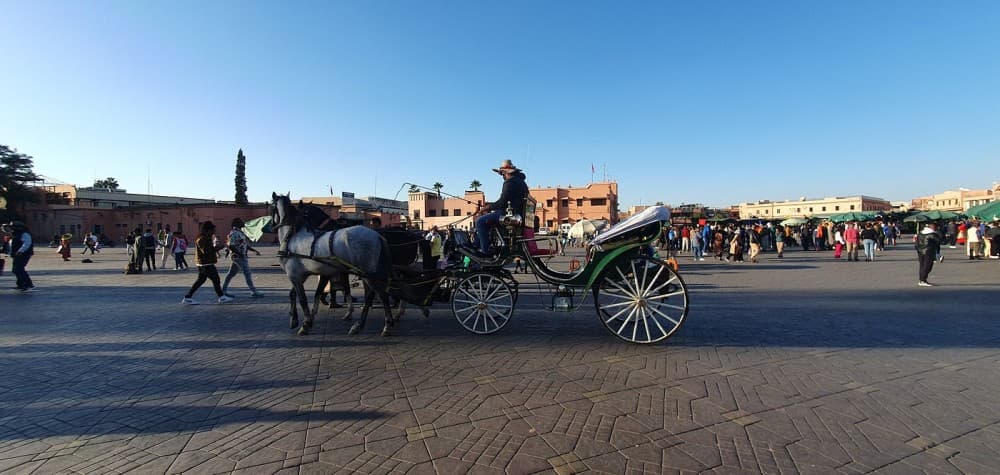 Marrakech Day Trip From Agadir | ®ExcursionMania - Image 10
