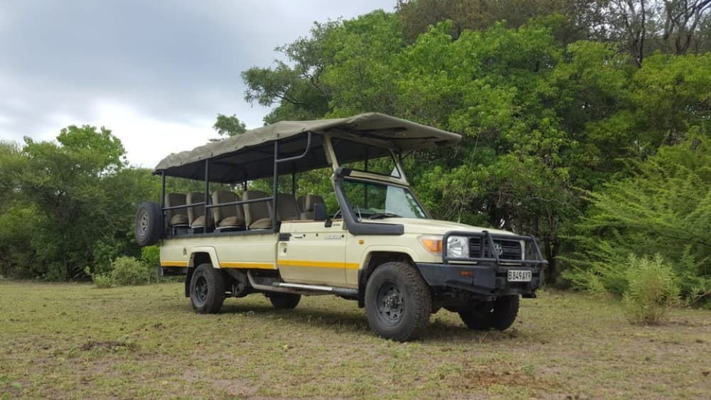 Safari : Big 5 - Hwange National Park Safari Day Tour | ®ExcursionMania - Image 2