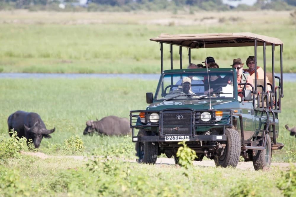 Safari : Big 5 - Hwange National Park Safari Day Tour | ®ExcursionMania - Image 4