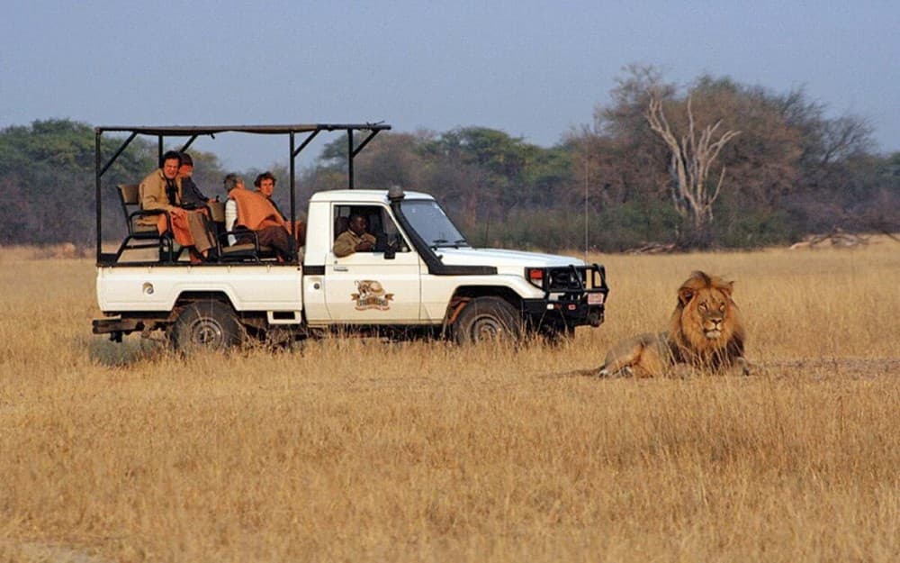 Safari : Big 5 - Hwange National Park Safari Day Tour | ®ExcursionMania - Image 8