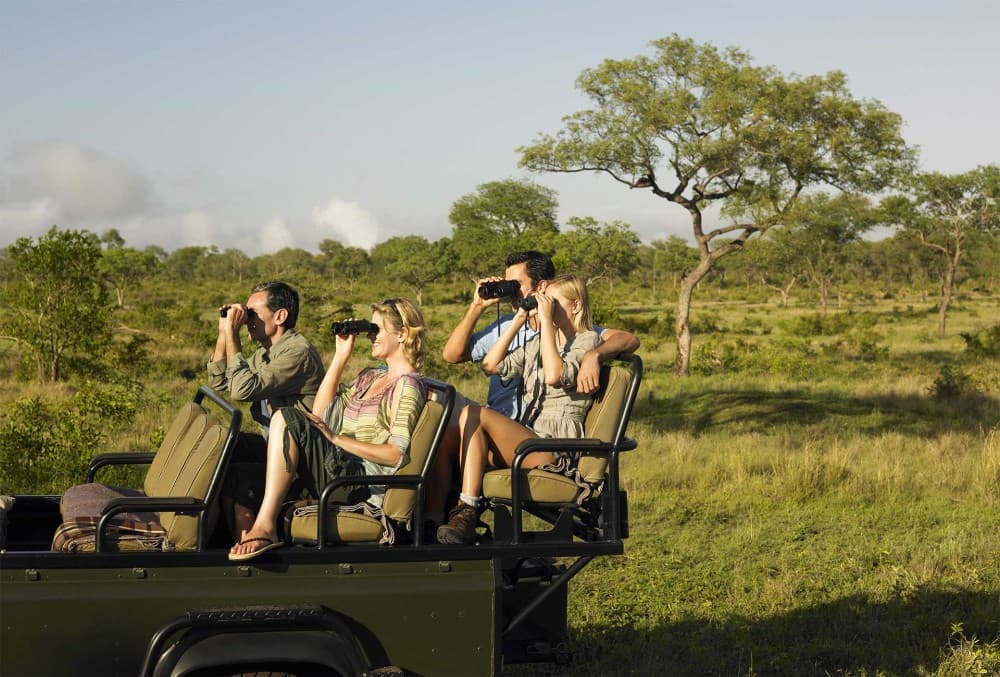 Safari : Big 5 - Hwange National Park Safari Day Tour | ®ExcursionMania - Image 7