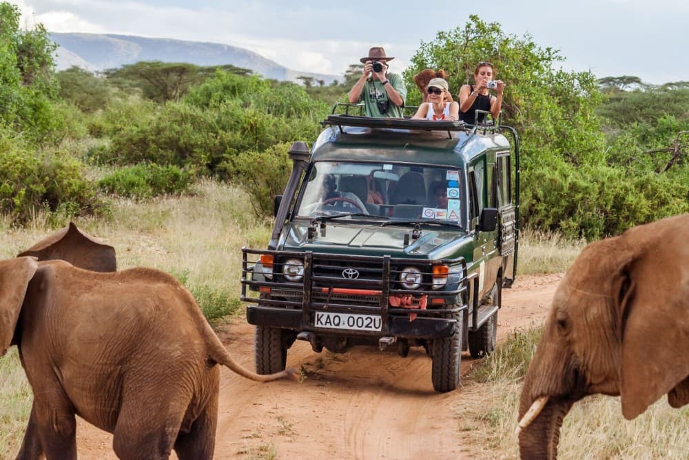 Safari : Big 5 - Hwange National Park Safari Day Tour | ®ExcursionMania - Image 9