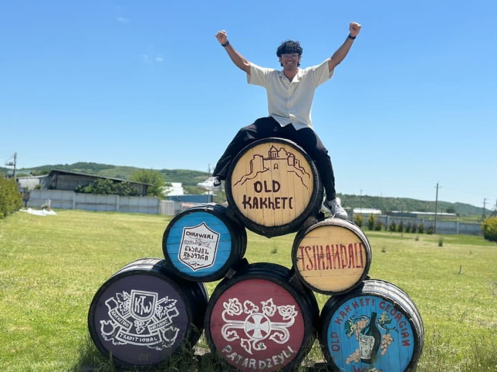 Tbilisi: Kakheti Wine Region Tour with 8 Wine Tastings | ®ExcursionMania - Image 2